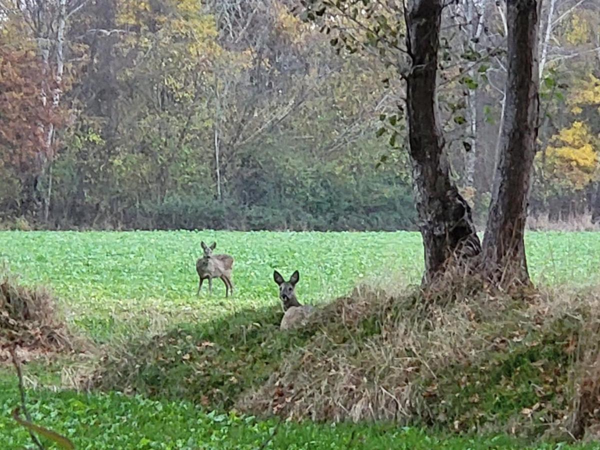Am Brockeswald *