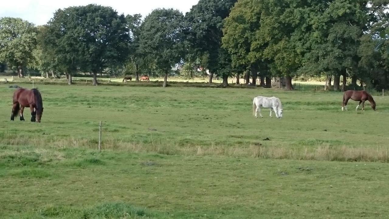 Am Brockeswald Ferienhaus Cuxhaven
